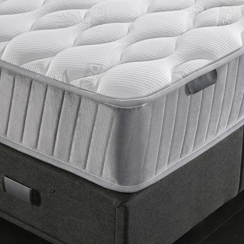 product-800-800 product-800-800